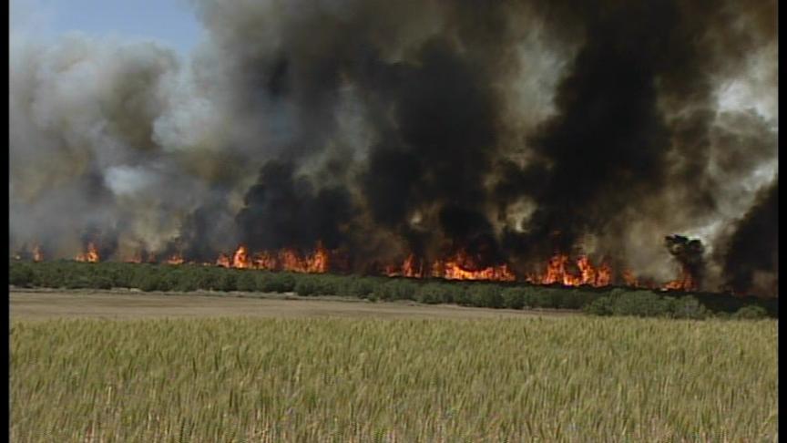 This picture was taken of Cedar Fort's large brush fire in 2009.